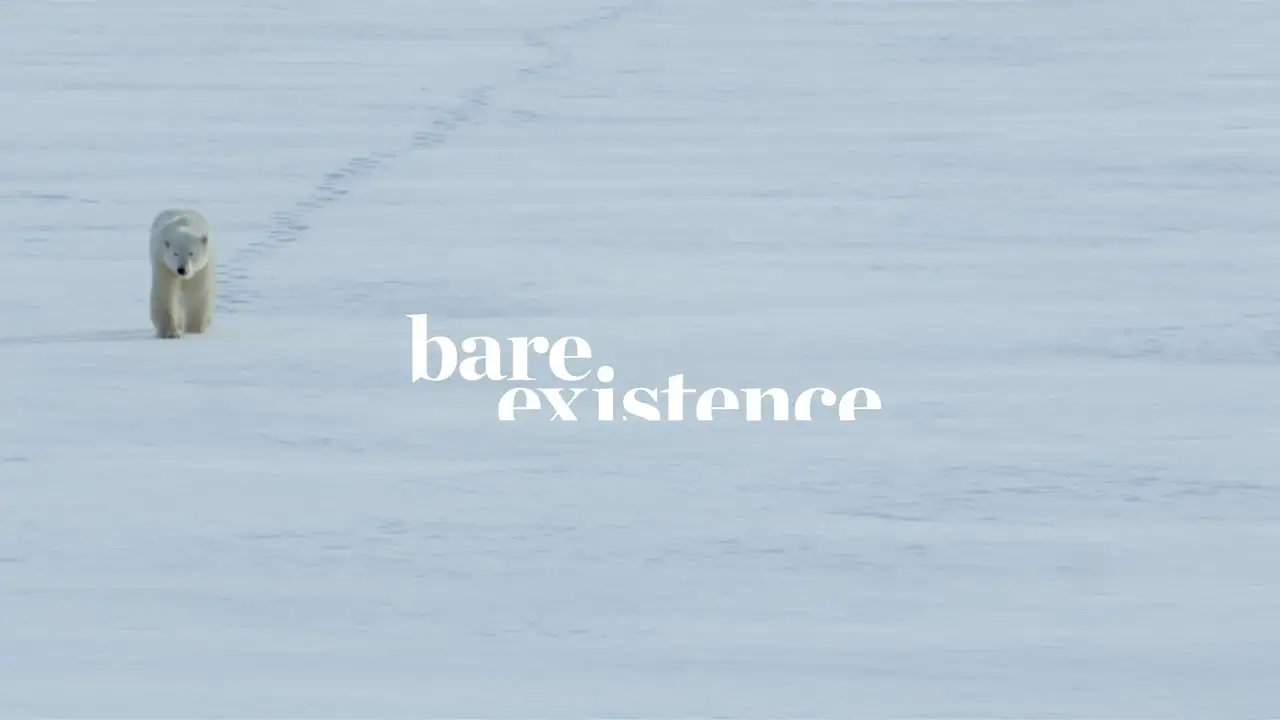 Canada Goose | 'Bare Existence'